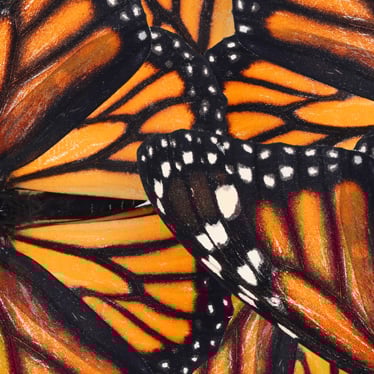  Change Doesn’t Have to Be Scary: Why I Love What Most People Dread